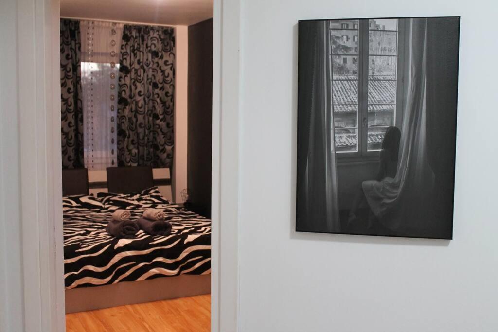 Yua'Shomes-Bussiness And Travel Apartment Cluj-Napoca Esterno foto